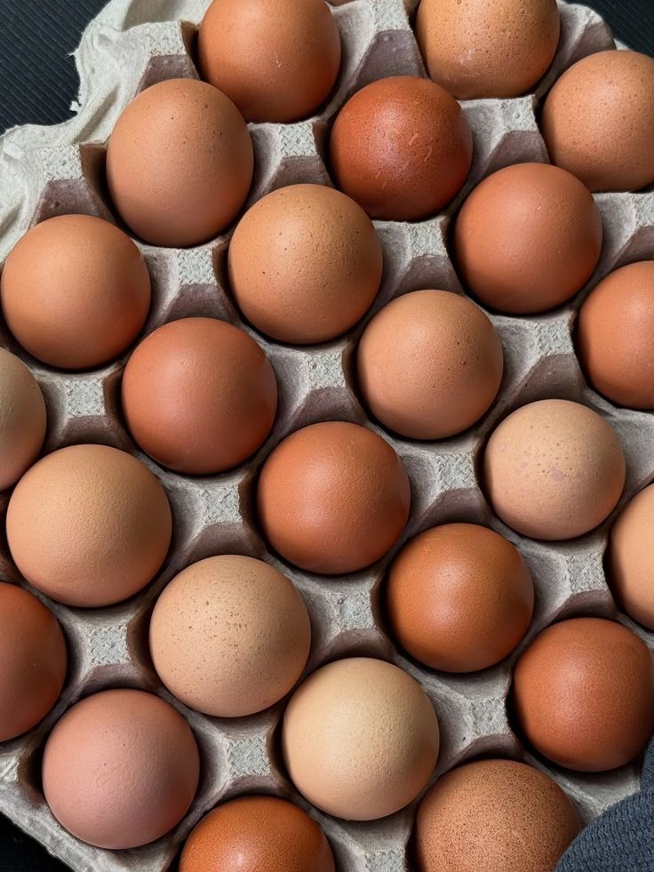 Brown Shell Eggs